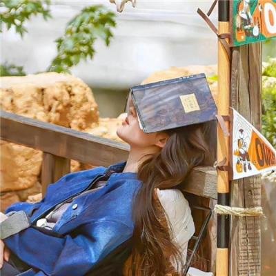 如果历史是一群喵第十一季